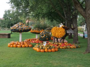 LAGA in Beelitz (4) - H. Müller
