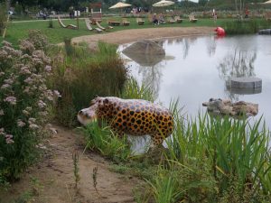 LAGA in Beelitz (7) - H. Müller