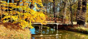 Branitzer Park 1-Ilona Nikolay