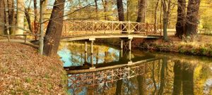 Branitzer Park 2-Ilona Nikolay