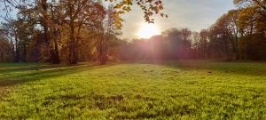 Branitzer Park 4-Ilona Nikolay