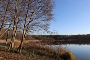 Pinnower See 3 - R.Karge