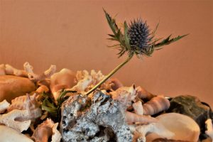 03 Urlaubsfeeling - K. - F. Muehler