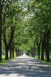 3-Allee - Frau FETSCH