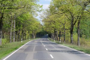 4-Allee - Frau FETSCH