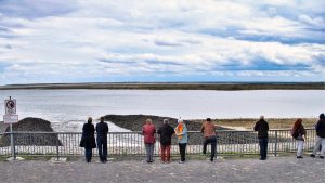 Ostsee im Werden - K. - F. Muehler