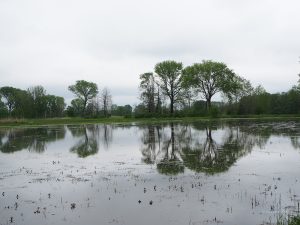Bärenbrücker Teiche - Bernd Opel