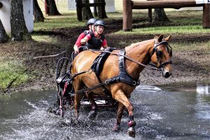 Fahrturnier 2023 Drebkau 1 - K. - F. Muehler