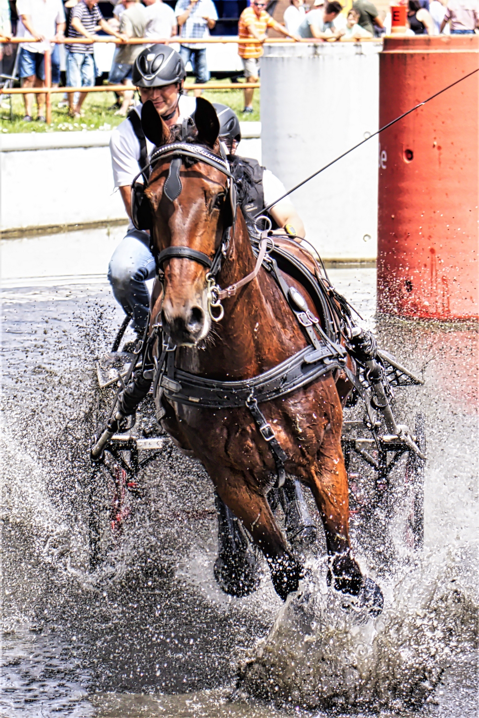 Fahrturnier 2023 Drebkau 2 - K. - F. Muehler
