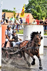 Fahrturnier 2023 Drebkau 3 - K. - F. Muehler