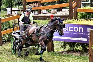 Fahrturnier 2023 Drebkau 5 - K. - F. Muehler