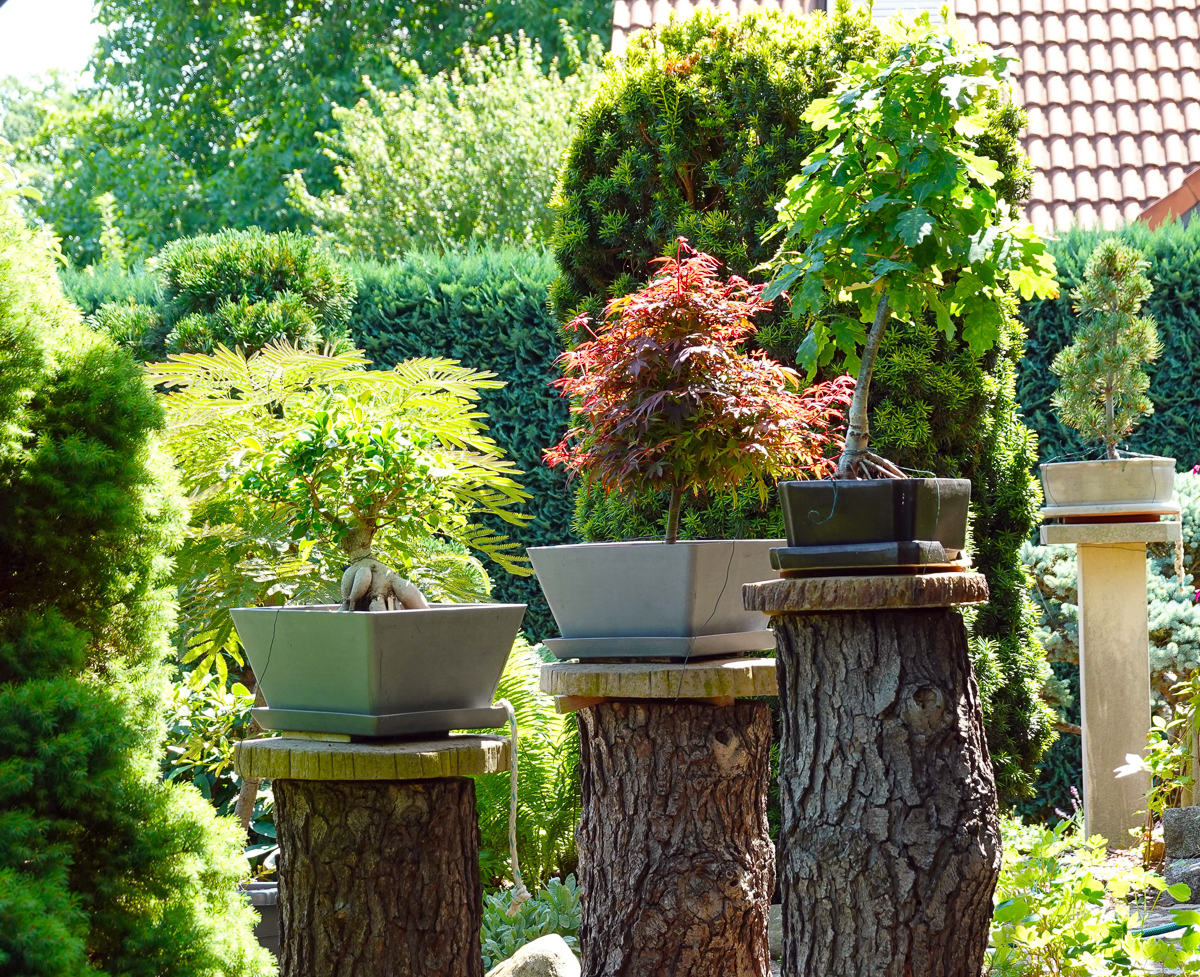 Gartenimpressionen 6 - H. Müller