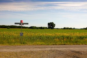 Sommertag in den Lasszinswiesen (1) - H. Müller