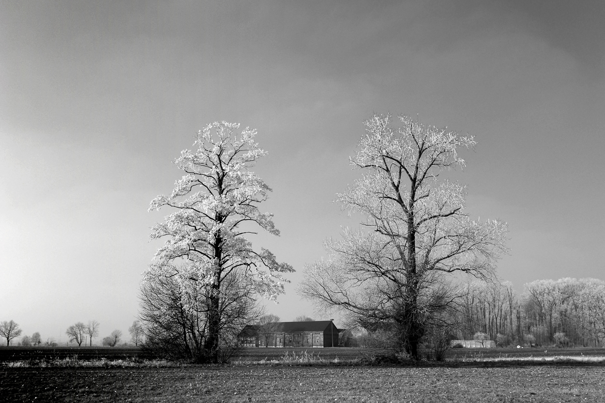 Winterlandschaft - H. Müller