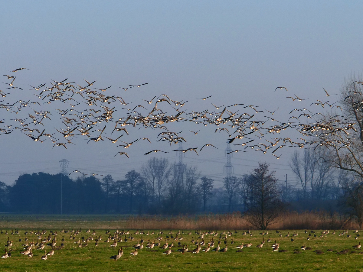 auf gehts.. -H. Müller