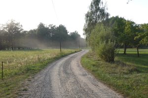 Spreewaldansichten (11) - H. Müller