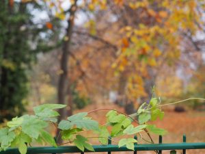 Am Hammergraben 1 - Bernd Opel