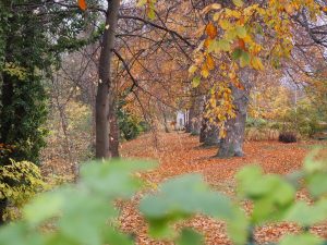 Am Hammergraben - Bernd Opel