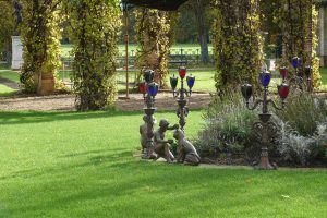 Herbstspaziergang in Branitz (5) - H. Müller