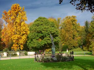 Herbstspaziergang in Branitz (8) - H. Müller