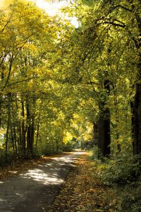 Indian summer im Teichland 3 - K. - F. Muehler