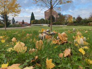 herbstliche Festung Peitz - Bernd Opel