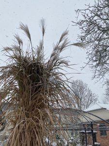 Flocken - Bernd Opel