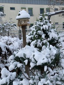 Futterpavillon - Bernd Opel