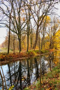 Novemberstimmung - K. - F. Muehler