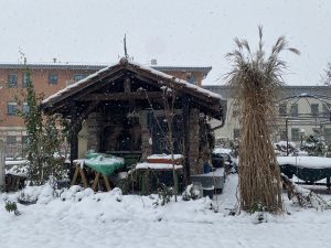 eingeschneit - Bernd Opel