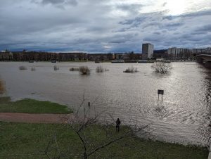 Weihnachtshochwasser 2024 in Dresden (3) - H. Müller