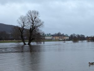 Weihnachtshochwasser 2024 in Pillnitz (1) - H. Müller