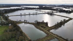 7 Teichgut Peitz - N.Kubicke