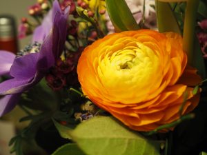 Macro 5 - Bernd Opel