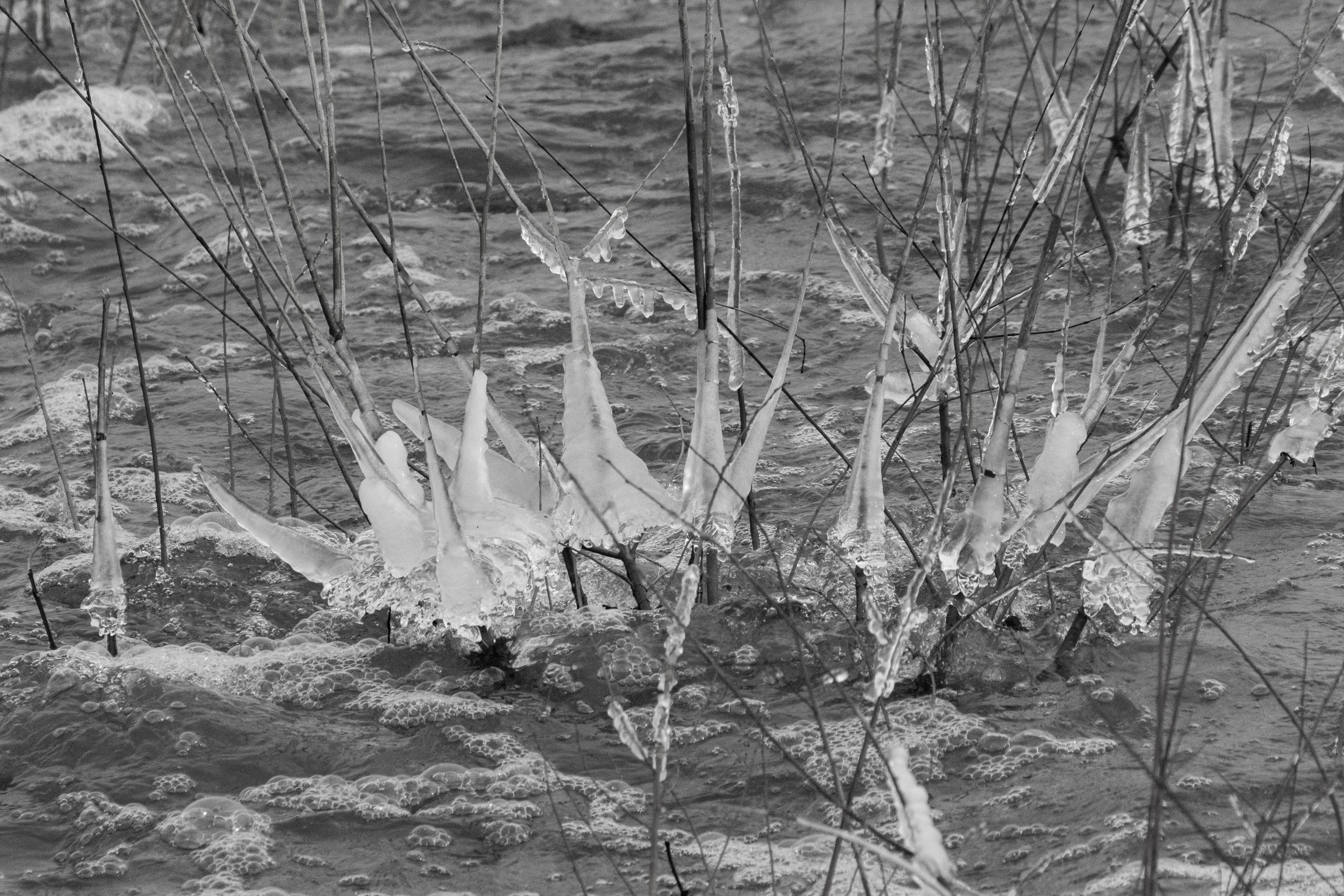 Ostseeeinlauf - B.Möcker