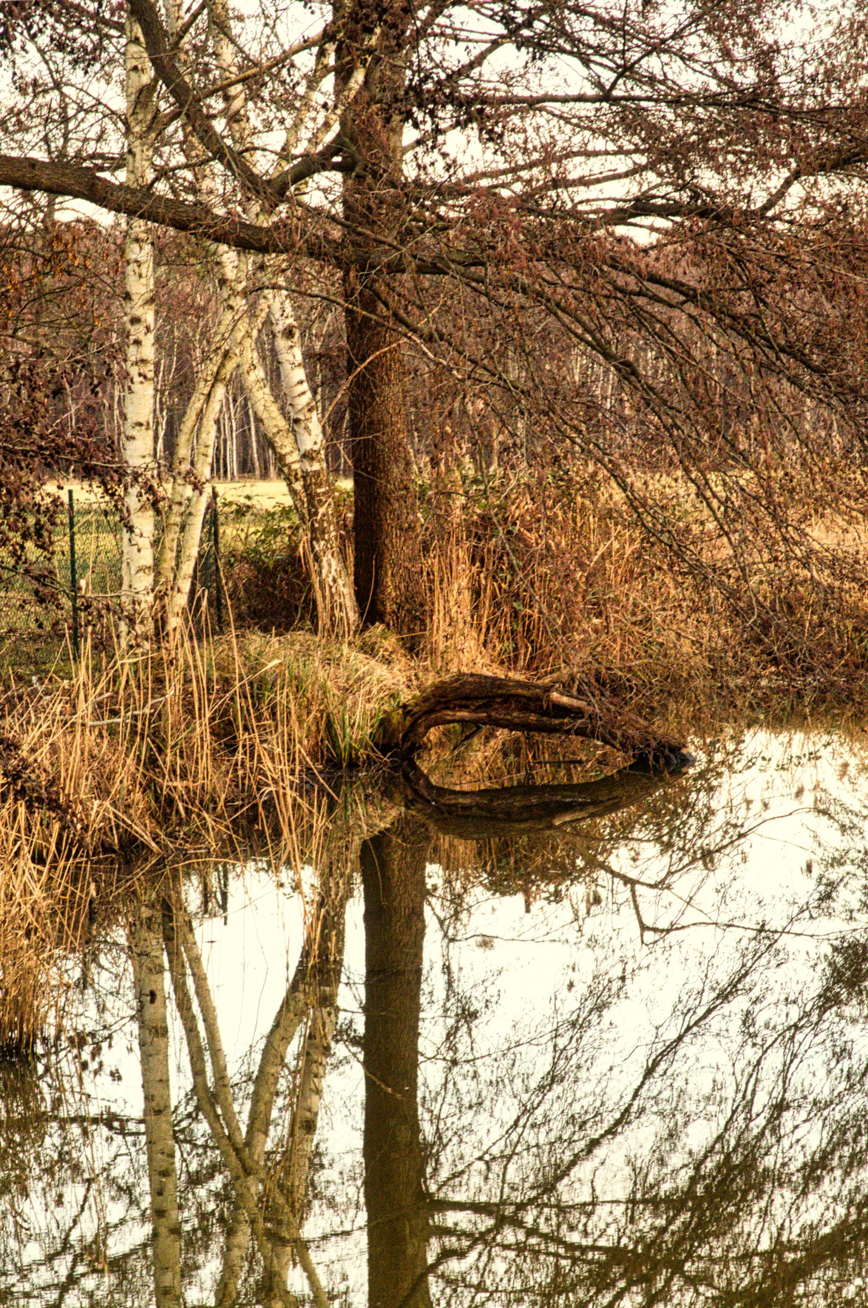 Spaetwinterlandschaft 2 - K. - F. Muehler