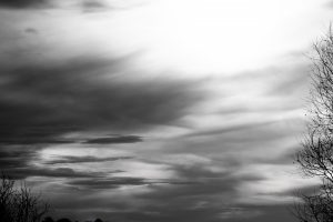 Spreeauen 3 - B.Möcker