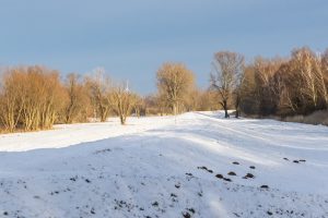 Spreeauen 4 - B.Möcker