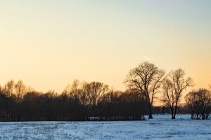 Winter 4 - B.Möcker