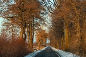 Winter 5 - B.Möcker