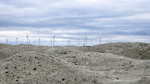 am Ostsee II - N.Kubicke