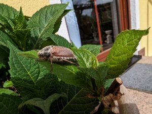 Frühling im Spreewald 10- H. Müller