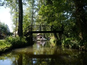 Frühling im Spreewald 11- H. Müller