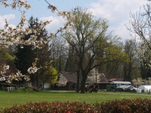 Frühling im Spreewald 12- H. Müller
