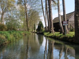 Frühling im Spreewald 13- H. Müller