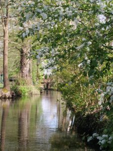 Frühling im Spreewald 14- H. Müller