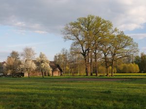 Frühling im Spreewald 15- H. Müller
