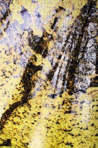 Wasserspiegel - K. - F. Muehler