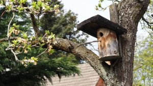 warten auf Einzug - Bernd Opel