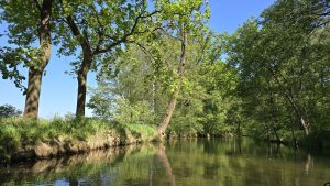 Die Landschaft vom Hammergraben genießen - N.Kubicke